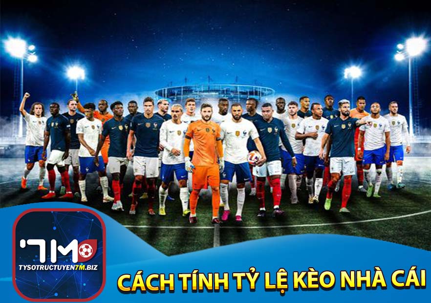 Cách tính tỷ lệ kèo nhà cái